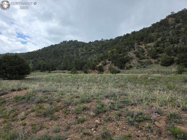 8099 County Road 28, Cotopaxi, CO 81223 - photo 1