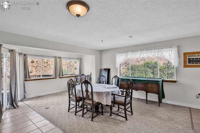 161 Shannon Rd, Cotopaxi, CO 81223 - carpeted dining space featuring a textured ceiling, plenty of natural light, and tile patterned floors
