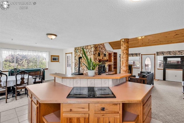 161 Shannon Rd, Cotopaxi, CO 81223 - kitchen with black electric cooktop, open shelves, a textured ceiling, light countertops, and open floor plan