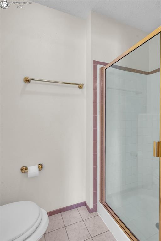161 Shannon Rd, Cotopaxi, CO 81223 - full bath with a stall shower and tile patterned flooring