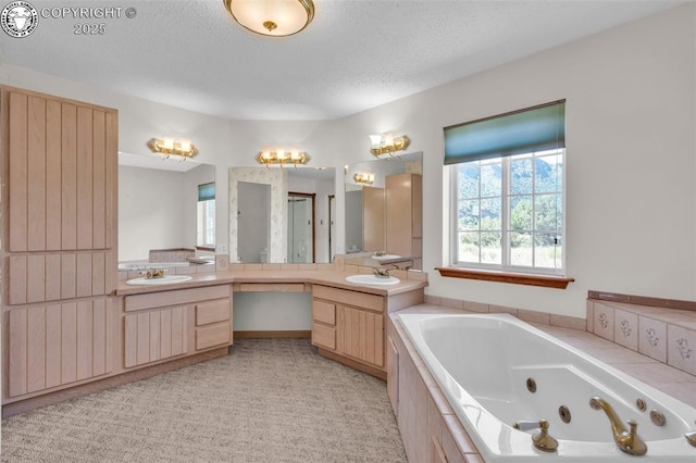 161 Shannon Rd, Cotopaxi, CO 81223 - bathroom with vanity, a tub with jets, and a textured ceiling