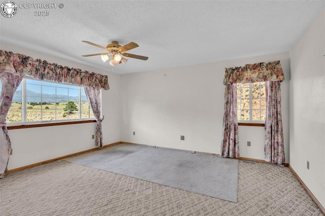 161 Shannon Rd, Cotopaxi, CO 81223 - empty room featuring carpet floors, ceiling fan, and a textured ceiling