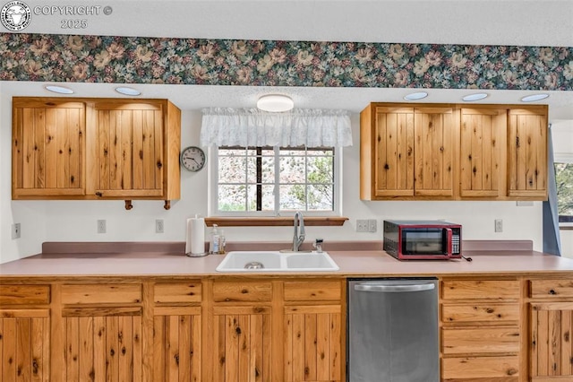161 Shannon Rd, Cotopaxi, CO 81223 - kitchen featuring stainless steel dishwasher and light countertops