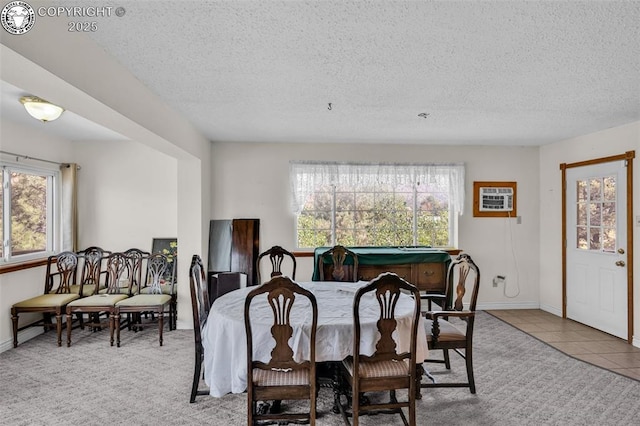 161 Shannon Rd, Cotopaxi, CO 81223 - tiled dining area featuring healthy amount of natural light and a textured ceiling