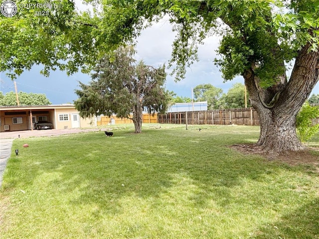 2950 E Main St, Canon City, CO 81212 - photo 7