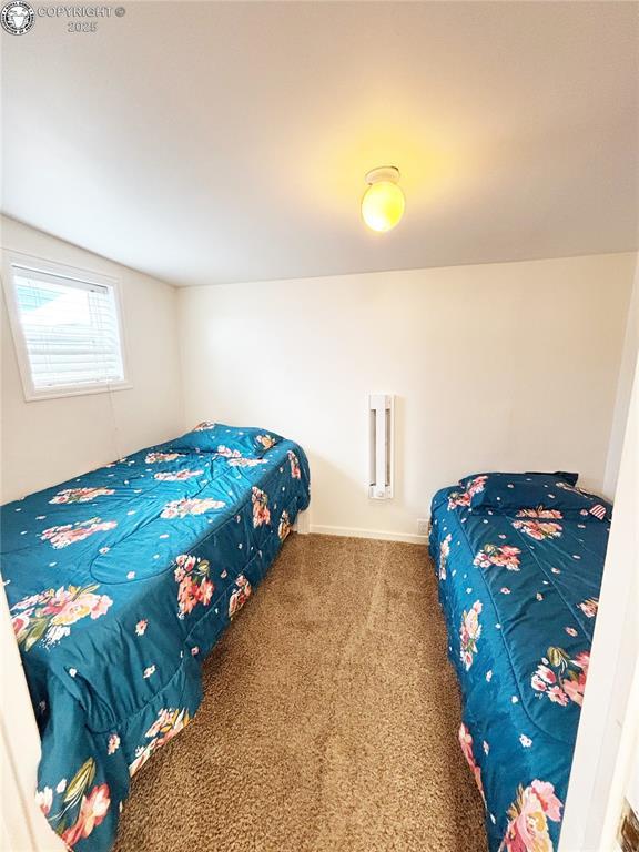 2950 E Main St, Canon City, CO 81212 - photo 35