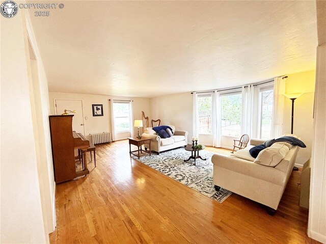 2950 E Main St, Canon City, CO 81212 - photo 9