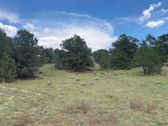 100 Kelsey Ct, Cotopaxi CO, 81223 land for sale