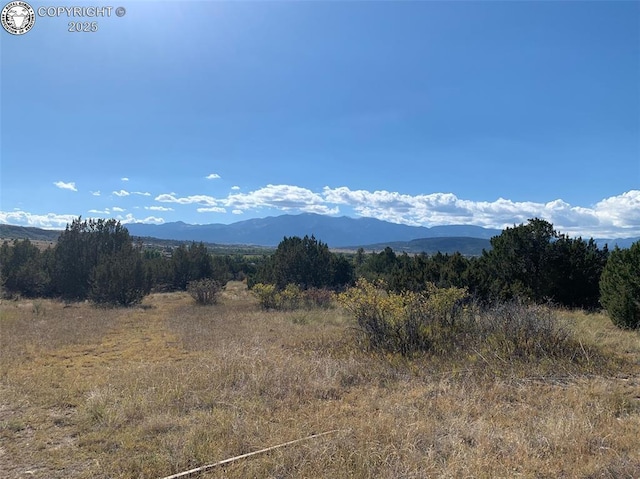 TBD Indian Falls Dr, Colorado City, CO 81004 - photo 1