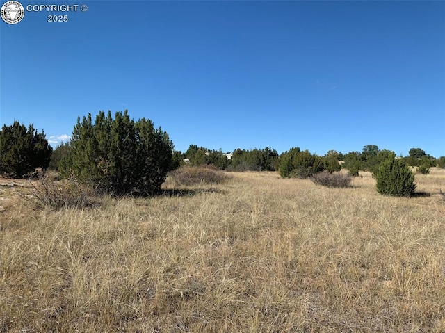 TBD Indian Falls Dr, Colorado City, CO 81004 - photo 5