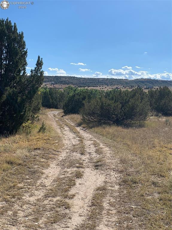 TBD Indian Falls Dr, Colorado City, CO 81004 - photo 6