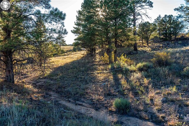 TBD Macdonnell Dr, Cotopaxi, CO 81223