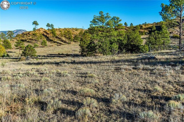 TBD Macdonnell Dr, Cotopaxi, CO 81223