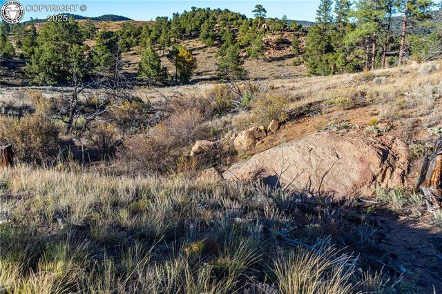TBD Macdonnell Dr, Cotopaxi, CO 81223