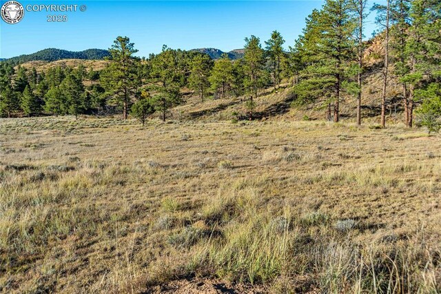 TBD Macdonnell Dr, Cotopaxi, CO 81223