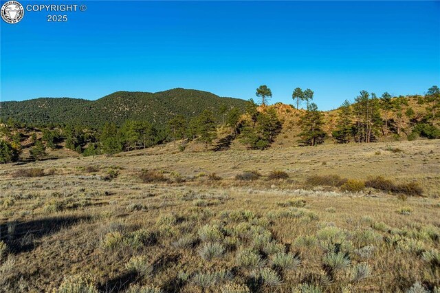 TBD Macdonnell Dr, Cotopaxi, CO 81223