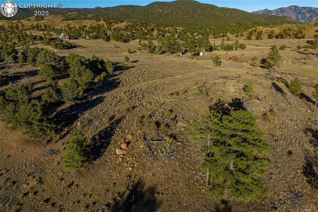 TBD Macdonnell Dr, Cotopaxi, CO 81223