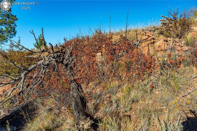 TBD Macdonnell Dr, Cotopaxi, CO 81223