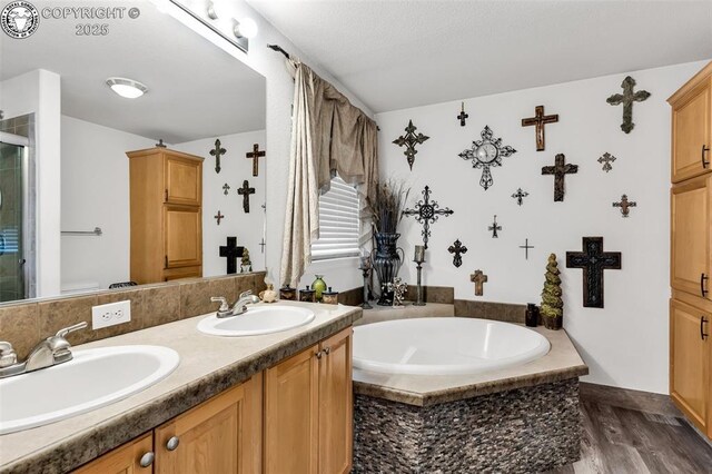 bathroom featuring a washtub, vanity, and hardwood / wood-style flooring