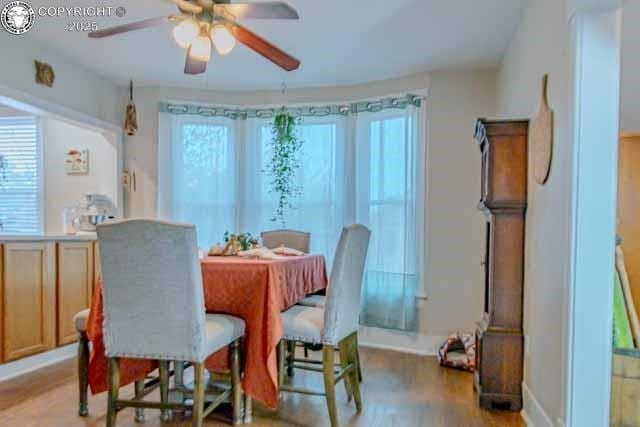 631 Rudd Ave, Canon City, CO 81212 - photo 16
