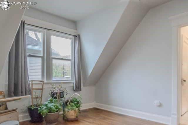 631 Rudd Ave, Canon City, CO 81212 - photo 34