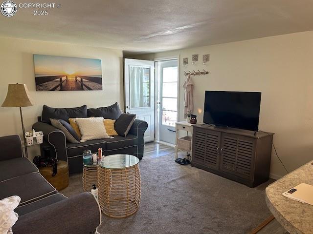 600 Raintree Blvd Unit 76, Canon City, CO 81212 - living room with carpet