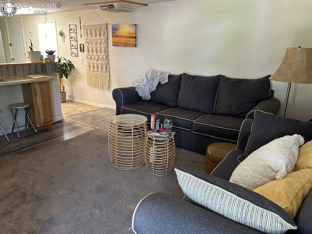 600 Raintree Blvd Unit 76, Canon City, CO 81212 - living area featuring baseboards