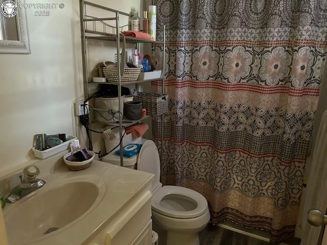 600 Raintree Blvd Unit 76, Canon City, CO 81212 - full bathroom with vanity and a shower with curtain