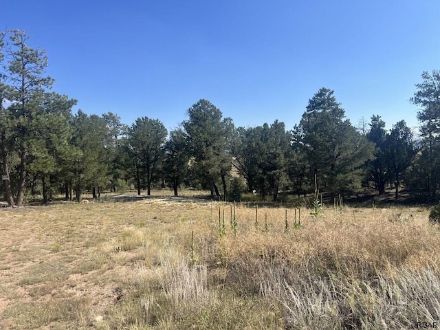 1474 Elkhorn Rd, Cotopaxi CO, 81223 land for sale