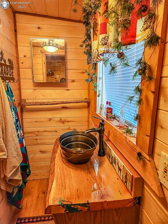 297 S Matterhorn Cir, Westcliffe, CO 81252 - bathroom featuring a sink, wood walls, and hardwood / wood-style flooring