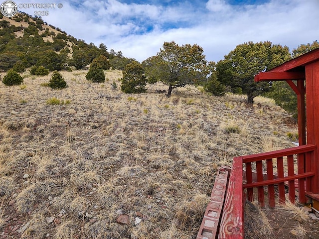 297 S Matterhorn Cir, Westcliffe, CO 81252 - view of yard