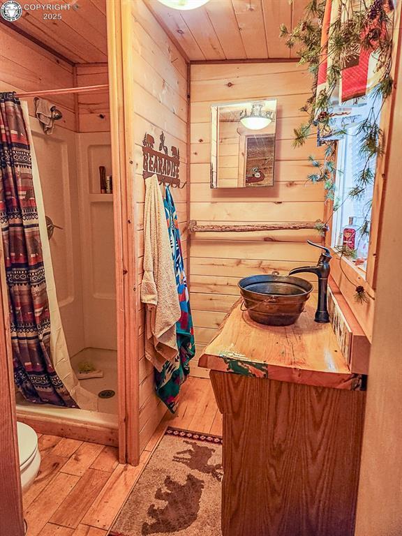 297 S Matterhorn Cir, Westcliffe, CO 81252 - bathroom featuring a stall shower, hardwood / wood-style floors, wood walls, and vanity