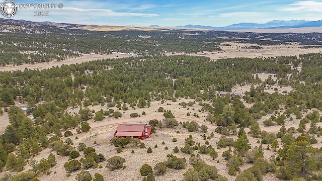 297 S Matterhorn Cir, Westcliffe, CO 81252 - birds eye view of property with a mountain view