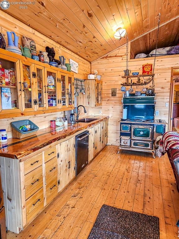 297 S Matterhorn Cir, Westcliffe, CO 81252 - kitchen featuring wooden walls, light wood finished floors, wood ceiling, vaulted ceiling, and dishwasher