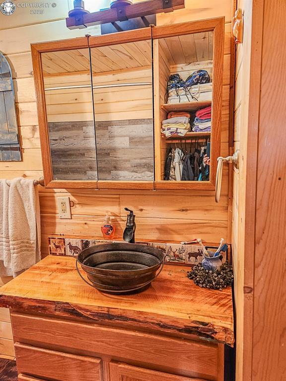 297 S Matterhorn Cir, Westcliffe, CO 81252 - details featuring wood walls and vanity