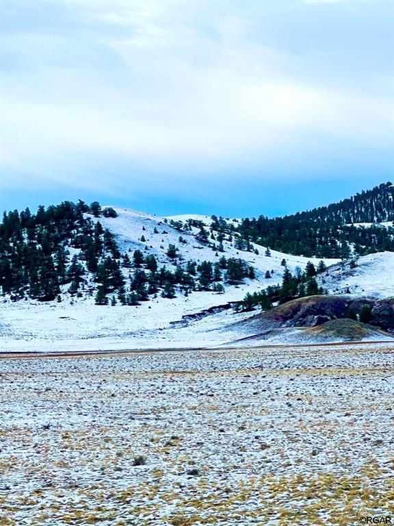 LOT30 Black Beaver Rd, Hartsel, CO 80449 - photo 5
