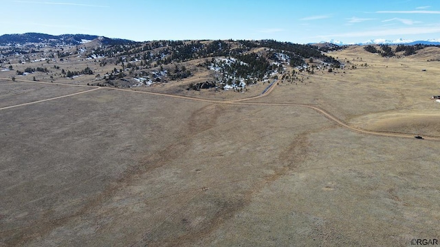 LOT30 Black Beaver Rd, Hartsel, CO 80449 - photo 23