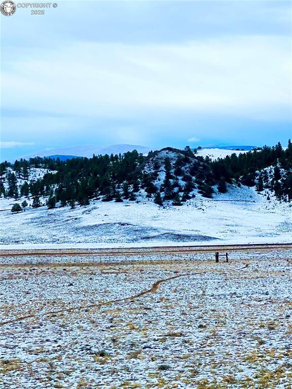 LOT30 Black Beaver Rd, Hartsel, CO 80449 - photo 41