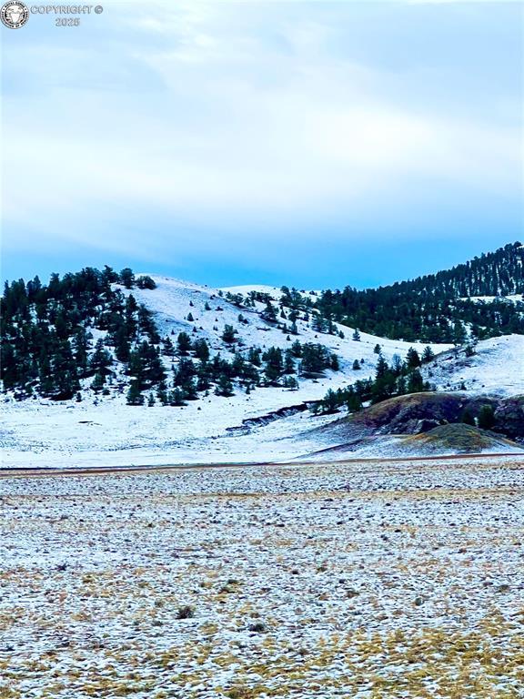 LOT30 Black Beaver Rd, Hartsel, CO 80449 - photo 42