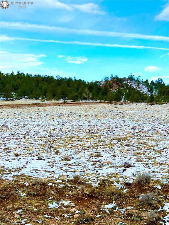 LOT30 Black Beaver Rd, Hartsel, CO 80449 - photo 36