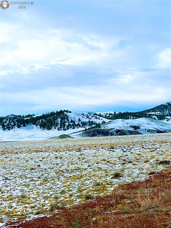 LOT30 Black Beaver Rd, Hartsel, CO 80449 - photo 34