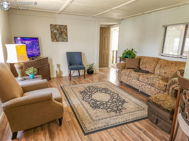 600 Raintree Blvd Unit 99, Canon City, CO 81212 - living room featuring wood finished floors