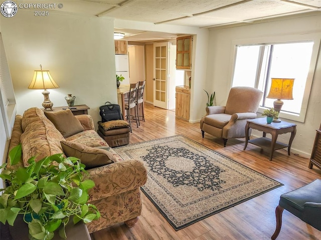 600 Raintree Blvd Unit 99, Canon City, CO 81212 - living area with light wood-style floors
