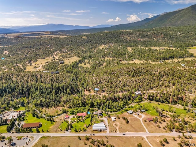 birds eye view of property featuring a mountain view