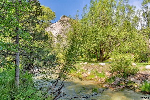 view of local wilderness featuring a mountain view