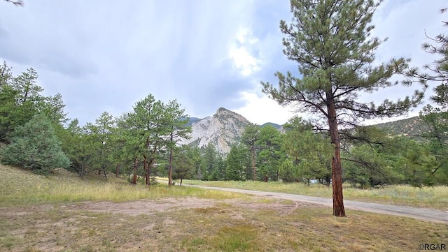 exterior space featuring a mountain view