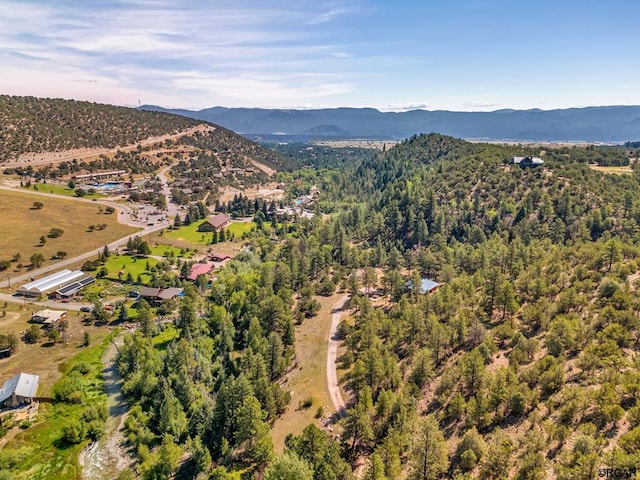 bird's eye view featuring a mountain view