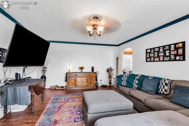 1337 York Ave, Canon City, CO 81212 - photo 25
