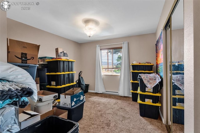 1337 York Ave, Canon City, CO 81212 - photo 31
