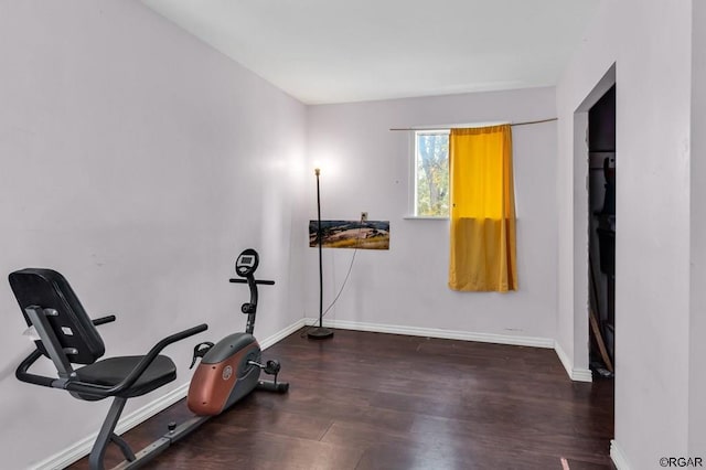 workout area featuring dark hardwood / wood-style flooring